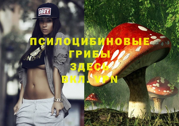 мдпв Абаза